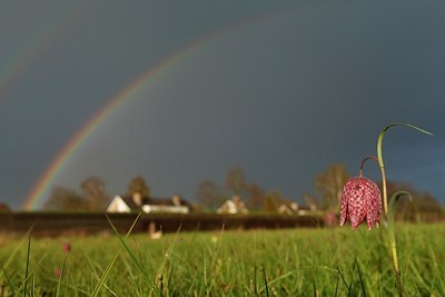 BUITEN BEELD Foto: 166306