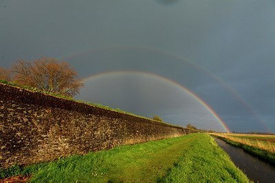 BUITEN BEELD Foto: 166316