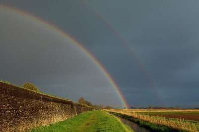 BUITEN BEELD Foto: 166318