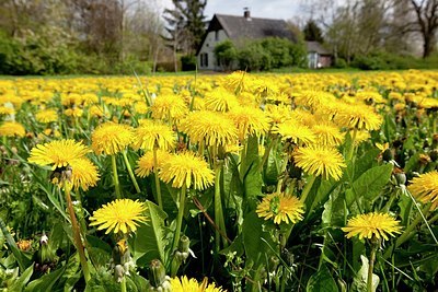 BUITEN BEELD Foto: 166337