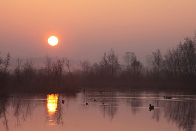 BUITEN BEELD Foto: 166348