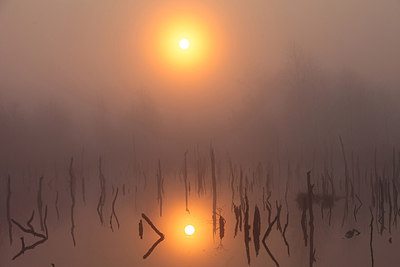 BUITEN BEELD Foto: 166349