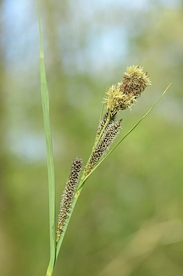 BUITEN BEELD Foto: 166379