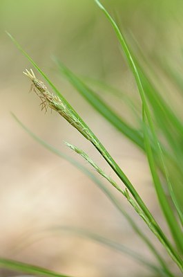 BUITEN BEELD Foto: 166382
