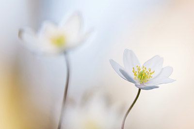 BUITEN BEELD Foto: 166444