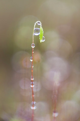 BUITEN BEELD Foto: 166453