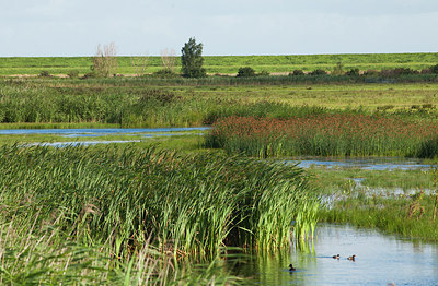 BUITEN BEELD Foto: 166504