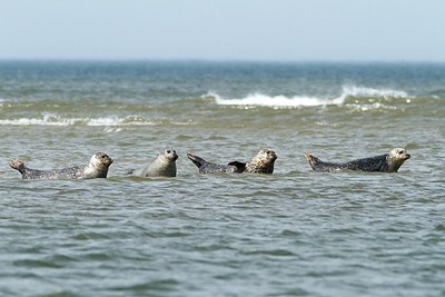 BUITEN BEELD Foto: 166527