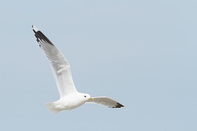 BUITEN BEELD Foto: 166540