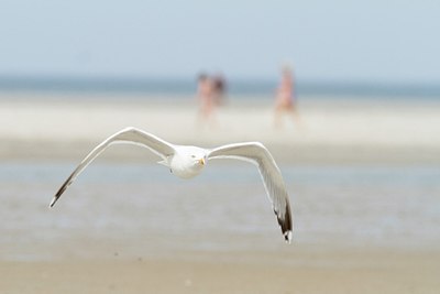BUITEN BEELD Foto: 166545