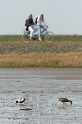 BUITEN BEELD Foto: 166548