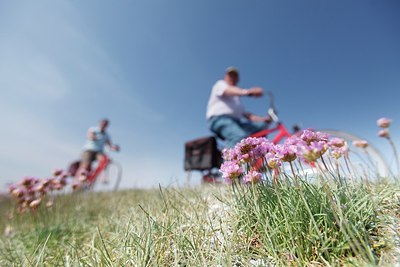 BUITEN BEELD Foto: 166554