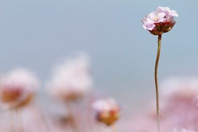 BUITEN BEELD Foto: 166561