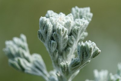 BUITEN BEELD Foto: 166564