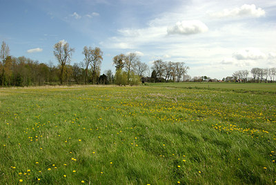 BUITEN BEELD Foto: 166616