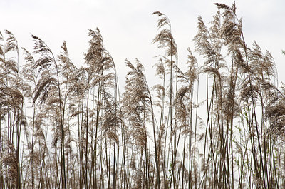 BUITEN BEELD Foto: 166623