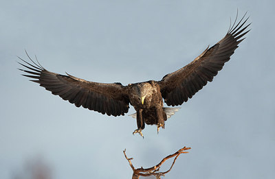 BUITEN BEELD Foto: 166628