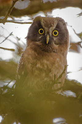 BUITEN BEELD Foto: 166677