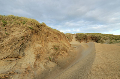 BUITEN BEELD Foto: 166708