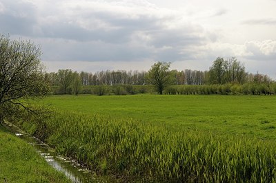 BUITEN BEELD Foto: 166788
