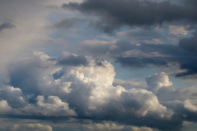 BUITEN BEELD Foto: 166801