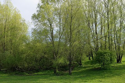 BUITEN BEELD Foto: 166818
