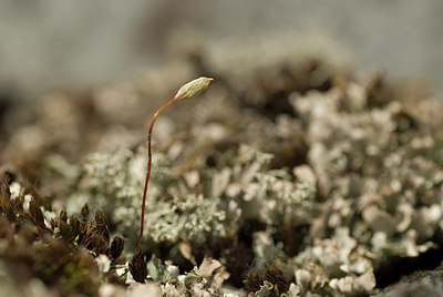 BUITEN BEELD Foto: 166865