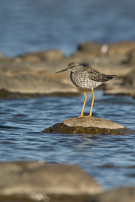 BUITEN BEELD Foto: 166866