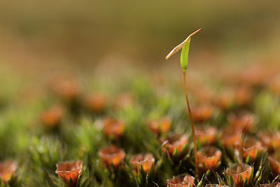 BUITEN BEELD Foto: 166869