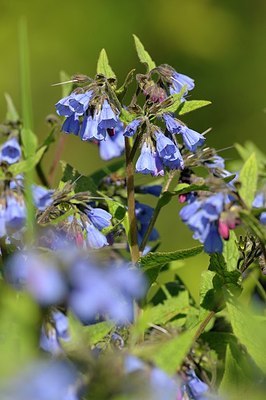 BUITEN BEELD Foto: 166882