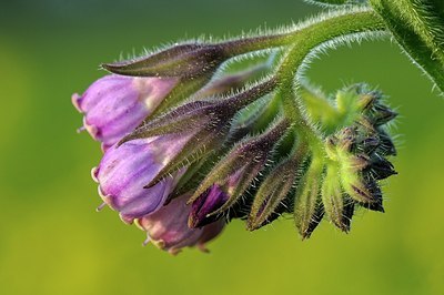 BUITEN BEELD Foto: 166888