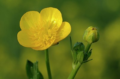 BUITEN BEELD Foto: 166889