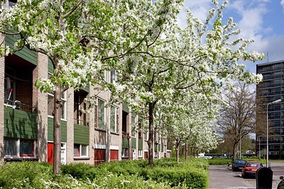 BUITEN BEELD Foto: 166899