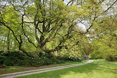 BUITEN BEELD Foto: 166926