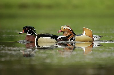 BUITEN BEELD Foto: 166962