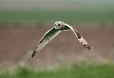 BUITEN BEELD Foto: 167005
