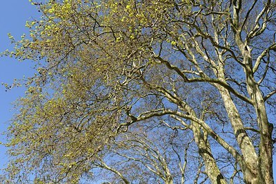 BUITEN BEELD Foto: 167067