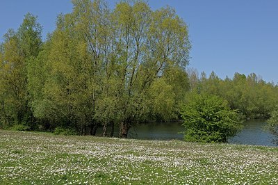 BUITEN BEELD Foto: 167084