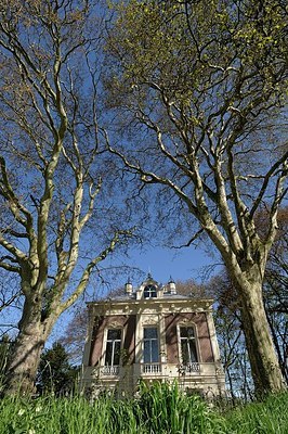 BUITEN BEELD Foto: 167093