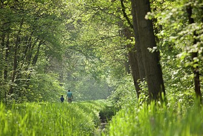 BUITEN BEELD Foto: 167098