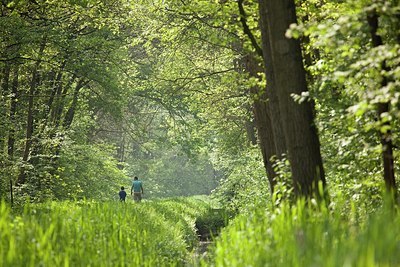 BUITEN BEELD Foto: 167098