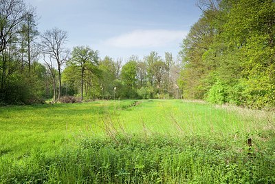 BUITEN BEELD Foto: 167103