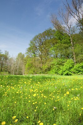 BUITEN BEELD Foto: 167104