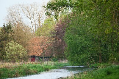 BUITEN BEELD Foto: 167107