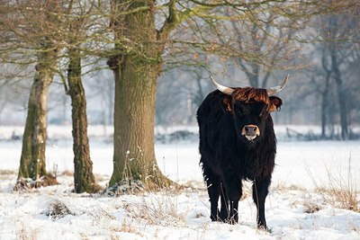 BUITEN BEELD Foto: 167109