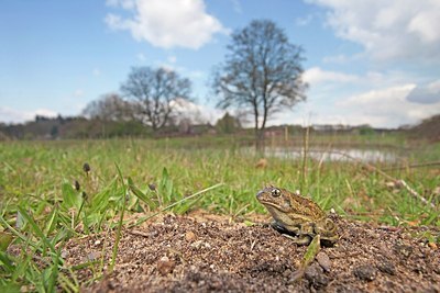 BUITEN BEELD Foto: 167218
