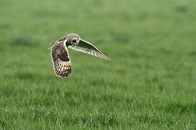 BUITEN BEELD Foto: 167316