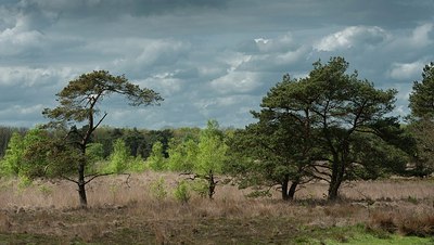 BUITEN BEELD Foto: 167320