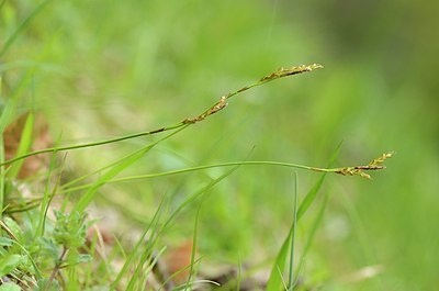 BUITEN BEELD Foto: 167336