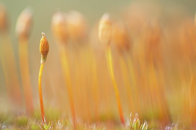 BUITEN BEELD Foto: 167343